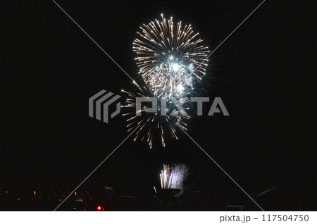 月あかりの夜空に舞う花火 月あかりの夜空に舞う花火 117504750