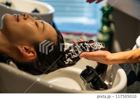 beauty parlor 117505010
