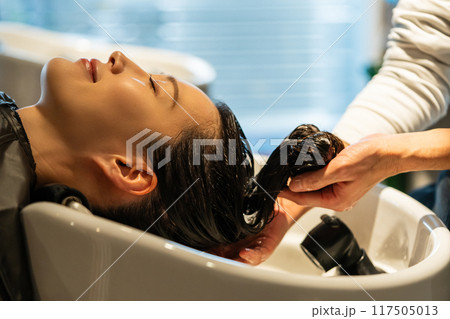 beauty parlor 117505013