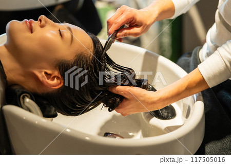 beauty parlor 117505016