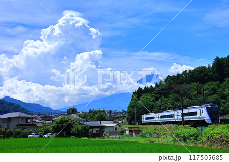 天高く伸びる入道雲と特急列車 117505685