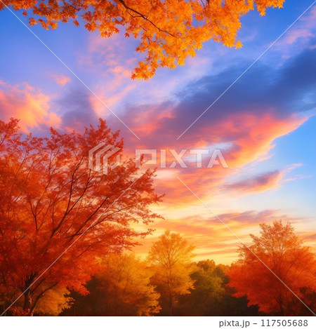 紅葉が美しい夕方の空 117505688