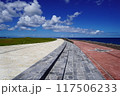 海へ続くような遊歩道 117506233