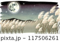 満月と星空に輝く満月 117506261