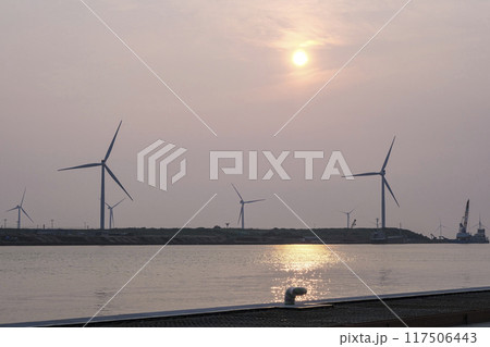 夕暮れの秋田港ウインドファーム 夕暮れの秋田港ウインドファーム 117506443
