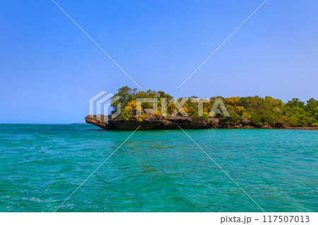 Mangroves in the lagoon of Kwale island. This is a small islet in the south of Zanzibar, Tanzania Mangroves in the lagoon of Kwale island. This is a small islet in the south of Zanzibar, Tanzania 117507013