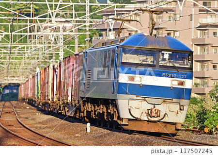 東海道本線 真鶴 JR貨物 EF210-127(岡山) 東海道本線 真鶴 JR貨物 EF210-127(岡山) 117507245
