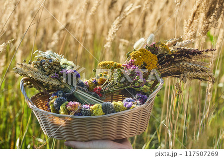 Assumption of Mary day. Basket of Wildflowers 117507269