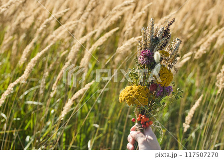 Assumption of Mary day. Hand Holding Wildflower Bouquet in Field 117507270