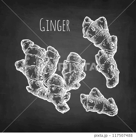 Fresh ginger root chalk sketch 117507488
