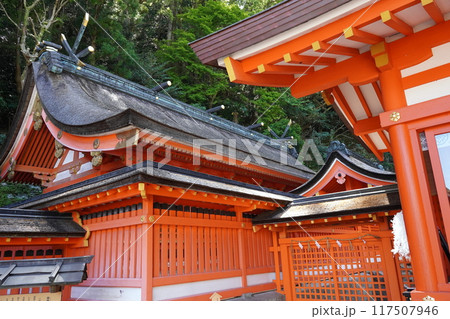 和歌山　熊野那智大社 117507946