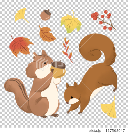 秋の紅葉した落ち葉とリスのイラスト 117508047