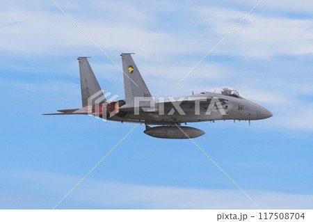 加速する航空自衛隊第306飛行隊F-15Jイーグル 117508704
