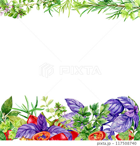 Kitchen herbs template. Rosemary, thyme, chili, basil, mint, bay leaf. Watercolor banner with space for text. Italian cuisine spices, linear composition on white background. Provence plants. 117508740