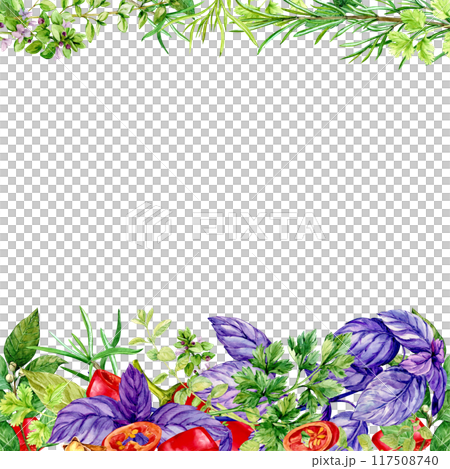 Kitchen herbs template. Rosemary, thyme, chili, basil, mint, bay leaf. Watercolor banner with space for text. Italian cuisine spices, linear composition on white background. Provence plants. 117508740