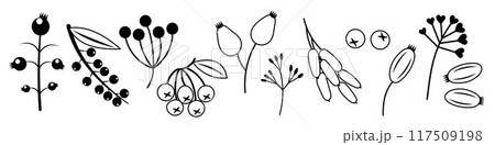 Autumn Berry Set. Black and white outline icons of berries. Drawing cute cosy design elements. Autumn, Thanksgiving Autumn Berry Set. Black and white outline icons of berries. Drawing cute cosy design elements. Autumn, Thanksgiving 117509198