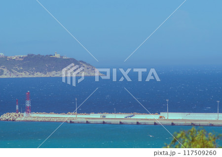Green palm leaves against the background of turquoise or blue ocean, sea, in the middle ground the shoreline intended to dampen the waves entering the pier, shore in background 117509260