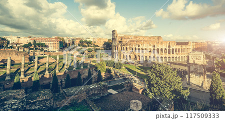 Ancient columns near the Coliseum 117509333