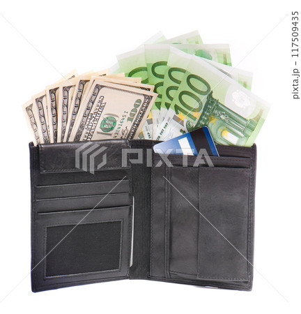 wallet and money 117509435