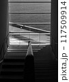 窓 117509914