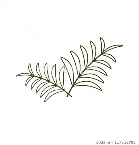 Leaf Palm oil illustration design 117510703