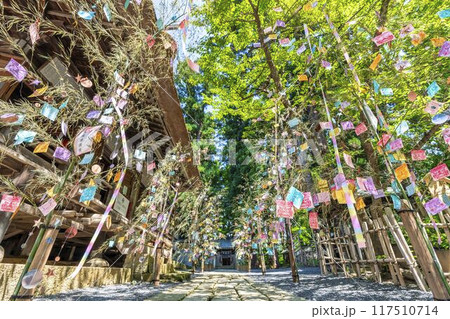 初夏の熊野神社(熊野大社)　七夕飾り　山形県南陽市 117510714