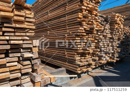 Warehouse with various types of timber 117511259
