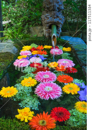 花手水 横から 8月 117511384