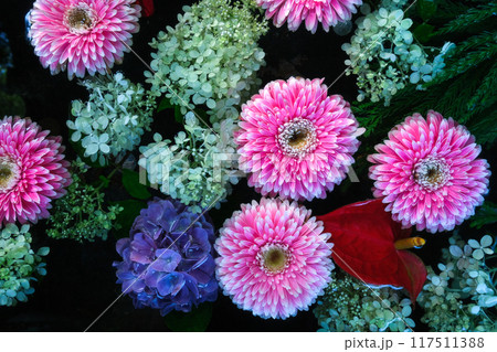 花手水 アップ 7月	 117511388