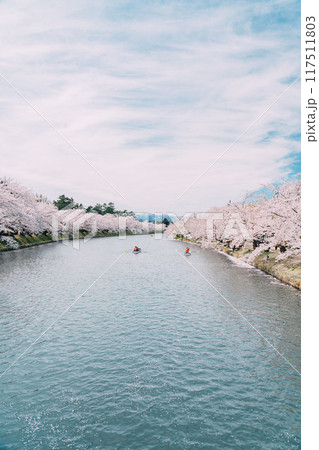 桜が満開の弘前公園 桜が満開の弘前公園 117511803
