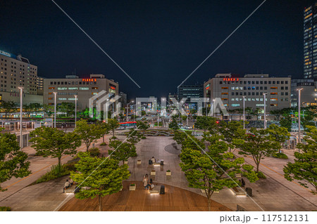 新潟駅 南口 駅前広場 新潟駅 南口 駅前広場 117512131