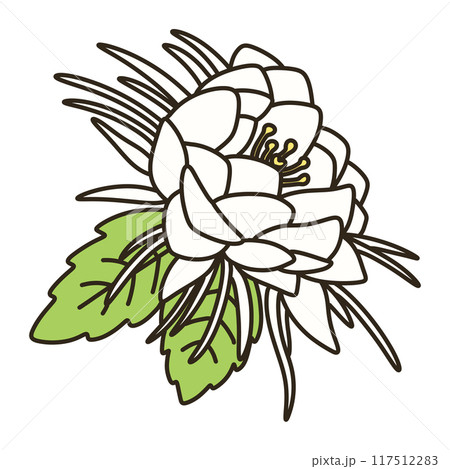 ゲッカビジン 117512283