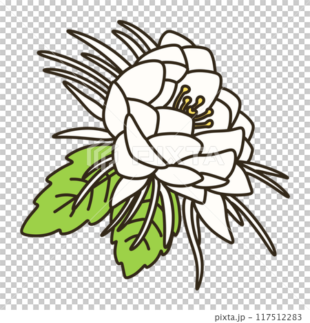 ゲッカビジン 117512283