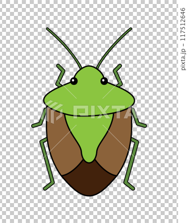 Simple illustration of a stink bug 117512646