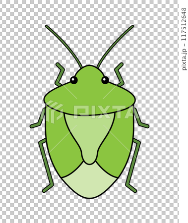 A simple illustration of a green stink bug 117512648