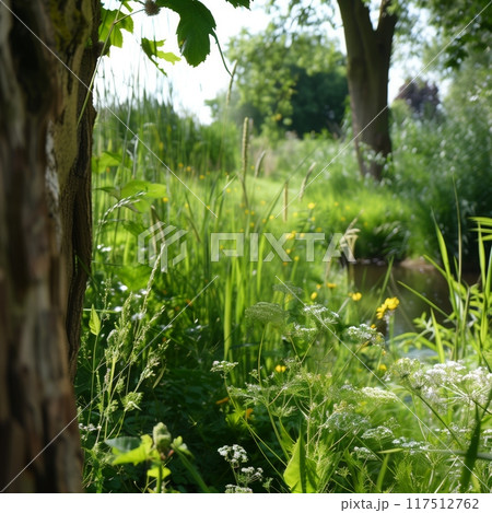 Dappled sunlight lush green forest glade wildflowers tall grasses natural 117512762