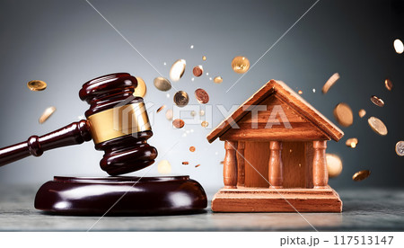 Bankrupt concept, Liquidation, Auction hammer and assets 117513147