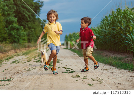 Happy Kids Running Together With Golden Retriever Puppy On Green Nature Background. Smiling Brothers. Happy Kids Running Together With Golden Retriever Puppy On Green Nature Background. Smiling Brothers. 117513336