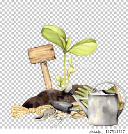 Watercolor garden composition 117513527