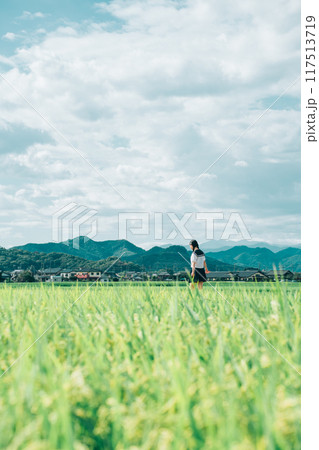夏の田んぼ道を歩いていく三つ編みのセーラ服の女の子 夏の田んぼ道を歩いていく三つ編みのセーラ服の女の子 117513719