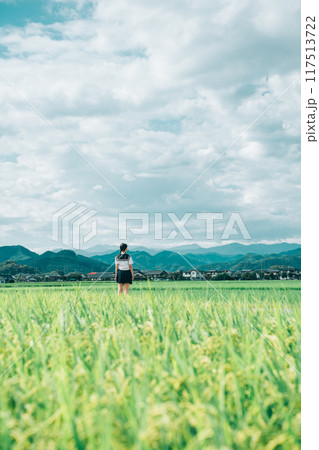 夏の田んぼ道を歩いていく三つ編みのセーラ服の女の子 夏の田んぼ道を歩いていく三つ編みのセーラ服の女の子 117513722