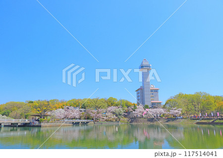 愛知県尾張旭市、スカイワードあさひと桜の風景 117514041