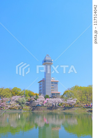 愛知県尾張旭市、スカイワードあさひと桜の風景 117514042