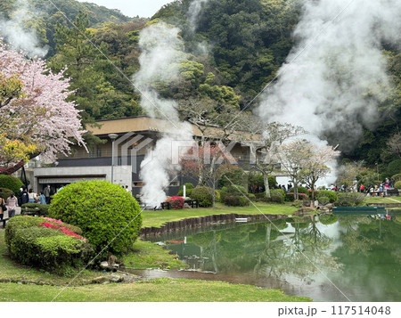 別府海地獄の満開の桜 別府海地獄の満開の桜 117514048
