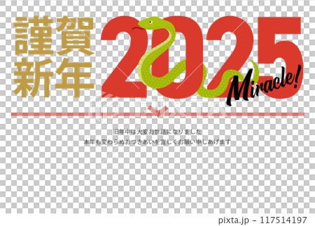 2025年の巳と抱負が書かれた年賀状_謹賀新年_横 2025年の巳と抱負が書かれた年賀状_謹賀新年_横 117514197
