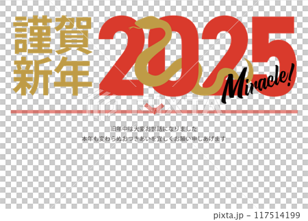 2025年のシルエットの巳と抱負が書かれた年賀状_謹賀新年_横 2025年のシルエットの巳と抱負が書かれた年賀状_謹賀新年_横 117514199