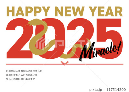 2025年のシルエットの巳と抱負が書かれた年賀状_happy new year_横 117514200