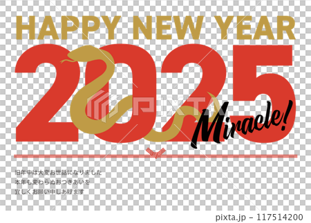 2025年のシルエットの巳と抱負が書かれた年賀状_happy new year_横 117514200