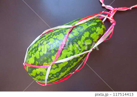 スイカ すいか 西瓜 うり坊 スイカ すいか 西瓜 うり坊 117514413