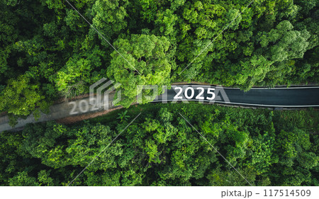 Newyear 2025 Aerial top view road in forest,and green transportation in the new year 117514509